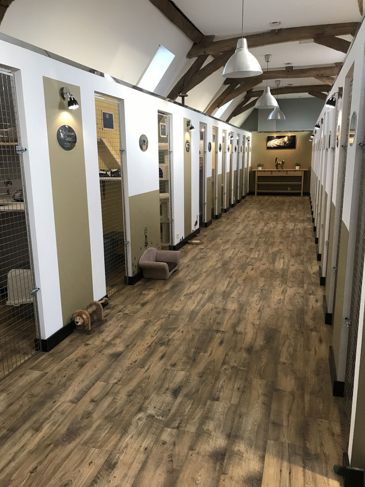 mon-hôtel-pour-chats